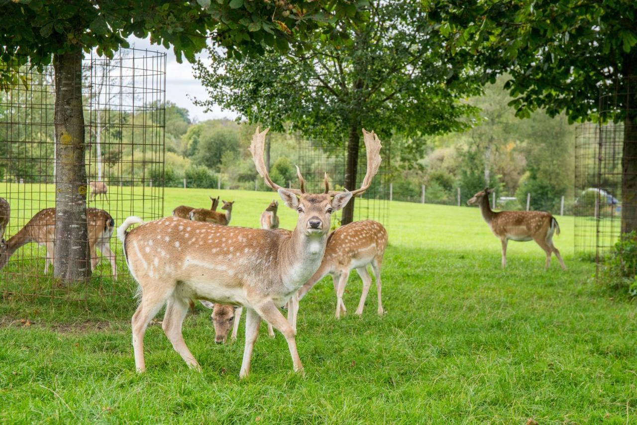 Hotel Hofgut Tiergarten Aulendorf Esterno foto